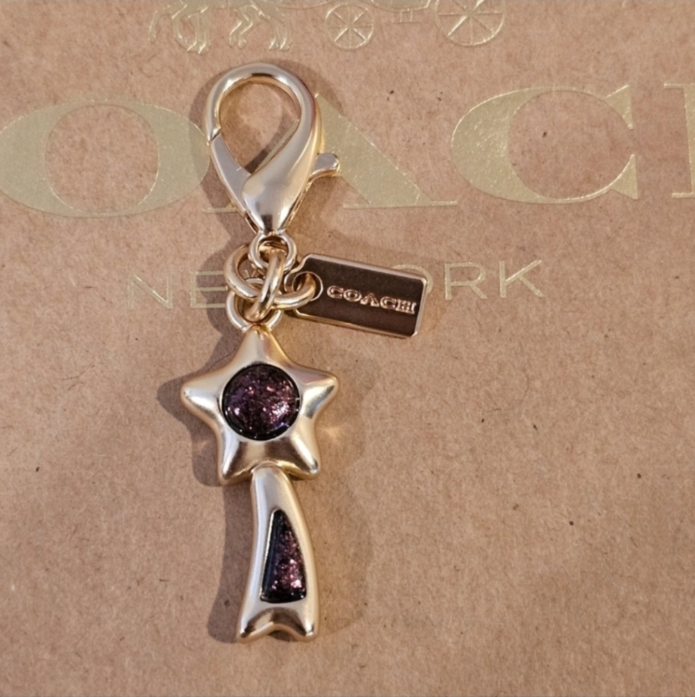 Coach Small Purple Shooting Star